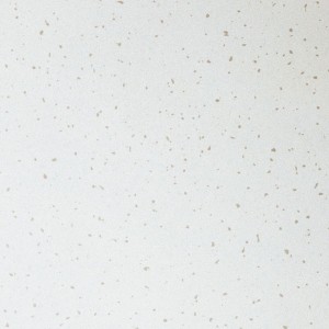 Потолочная плита Clean Room FL (ISO 5) Board 1200x600x15 (Armstrong)